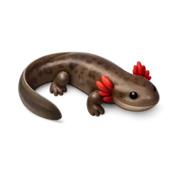 Mudpuppy 3D icon