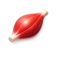 Muscle 3D icon