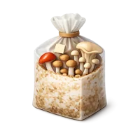 Mushroom Bag 3D icon