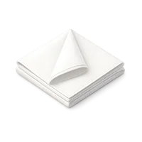White Napkin 3D icon