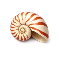 Nautilus Shell 3D icon