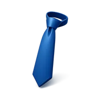 Necktie 3D icon