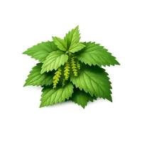 Nettle 3D icon