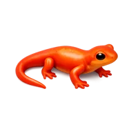 Red Newt 3D icon