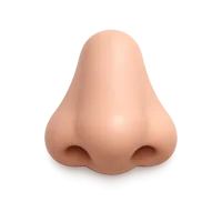 Nose 3D icon