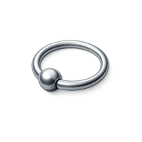 Nose Ring 3D icon