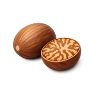 Nutmeg 3D icon