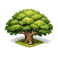 Green Oak Tree 3D icon