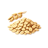Amber Oats 3D icon