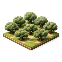 Olive Grove 3D icon