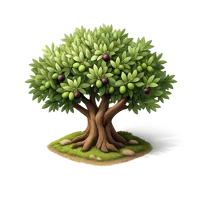 Olive Tree 3D icon