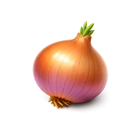 Orange Onion 3D icon