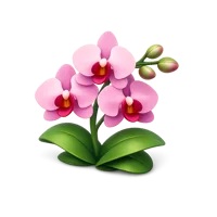 Orchid 3D icon
