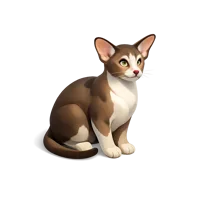 Oriental Shorthair 3D icon
