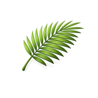 Palm Leaf 3D icon