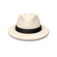 Panama Hat 3D icon