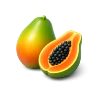 Orange Papaya 3D icon