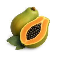 Papaya 3D icon