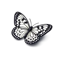 Paper Kite 3D icon
