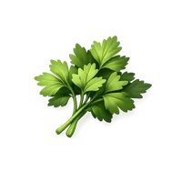 Parsley 3D icon