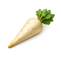 Parsnip 3D icon