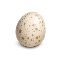 Passenger Pigeon Egg 3D icon