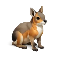 Patagonian Mara 3D icon