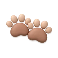 Paw Prints 3D icon