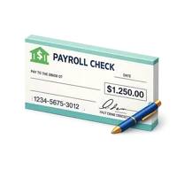 Payroll Check 3D icon