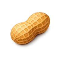 Peanut 3D icon