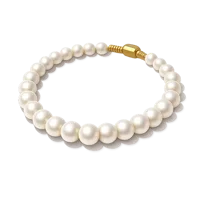 Amber Pearl Necklace 3D icon