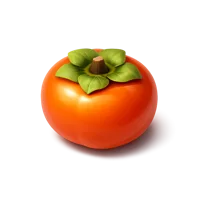 Persimmon 3D icon