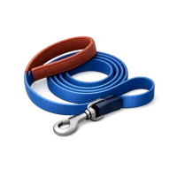 Pet Leash 3D icon