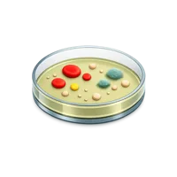 Yellow Petri Dish 3D icon