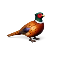 Pheasant 3D icon