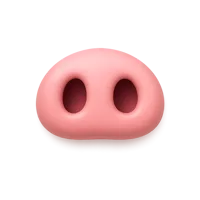 Pig Nose 3D icon