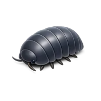 Pill Bug 3D icon