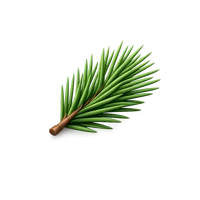 Green Pine Needle 3D icon