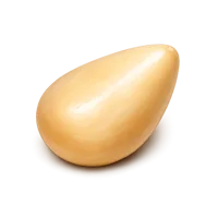 Amber Pine Nut 3D icon
