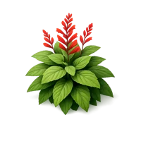 Pineapple Sage 3D icon