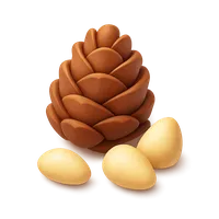 Pine Nut 3D icon