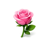 Pink Rose 3D icon