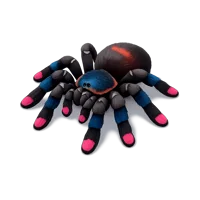 Pink Toe Tarantula 3D icon