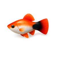 Platy Fish 3D icon