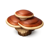 Polypore Mushroom 3D icon