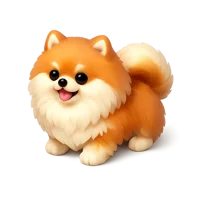 Amber Pomeranian 3D icon