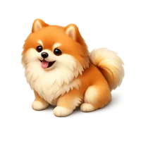 Orange Pomeranian 3D icon