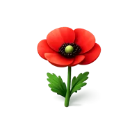 Poppy Flower 3D icon
