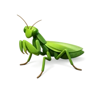 Praying Mantis 3D icon