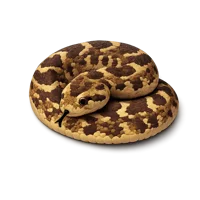 Brown Puff Adder 3D icon